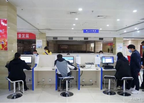 辛集 以一流營商環境助推經濟社會高質量發展