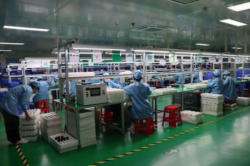 2025年東莞民營企業家日丨虎門青年企業家走訪標桿企業 社會經濟咨詢服務