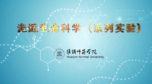 淮陰師范學院 以精品在線開放課程賦能社會經濟咨詢服務大眾化