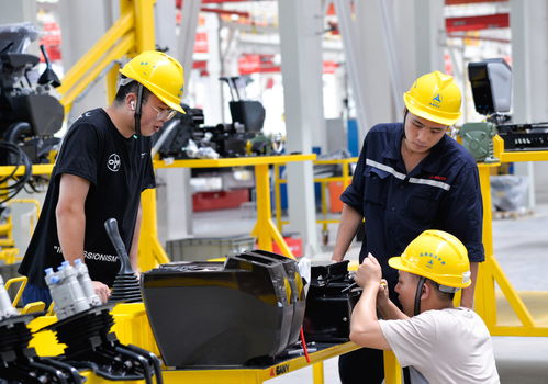 絲路之弦，江潮之韻 一帶一路與長江經濟帶的社會經濟咨詢交響曲