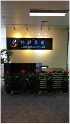 揚(yáng)勝集團(tuán) 擁抱“互聯(lián)網(wǎng)+”浪潮，以信息技術(shù)服務(wù)為企業(yè)發(fā)展助力護(hù)航