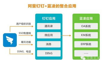 藍凌徐霞 互聯網產品，讓用戶覺得“爽”，應用方有“戲”